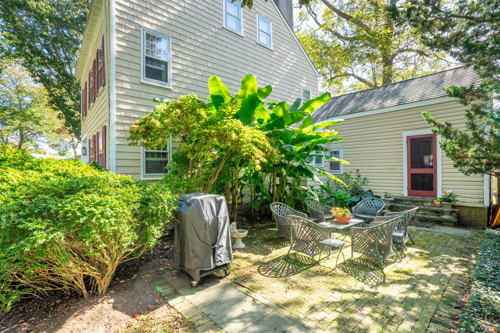 Brick patio with mature banana tree