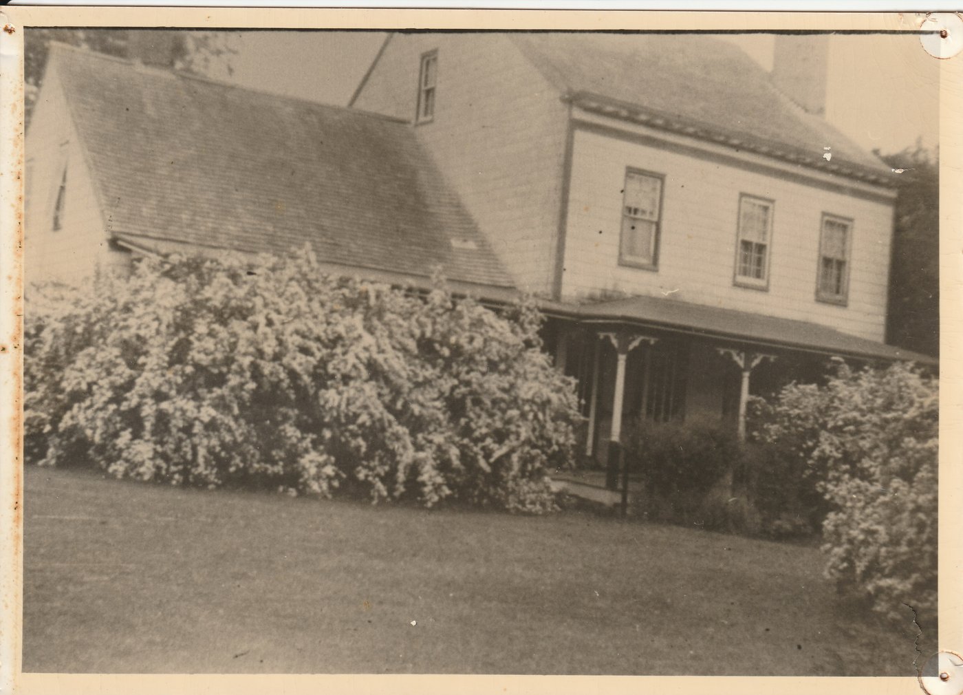The house with flowering hedges, mid-1900s