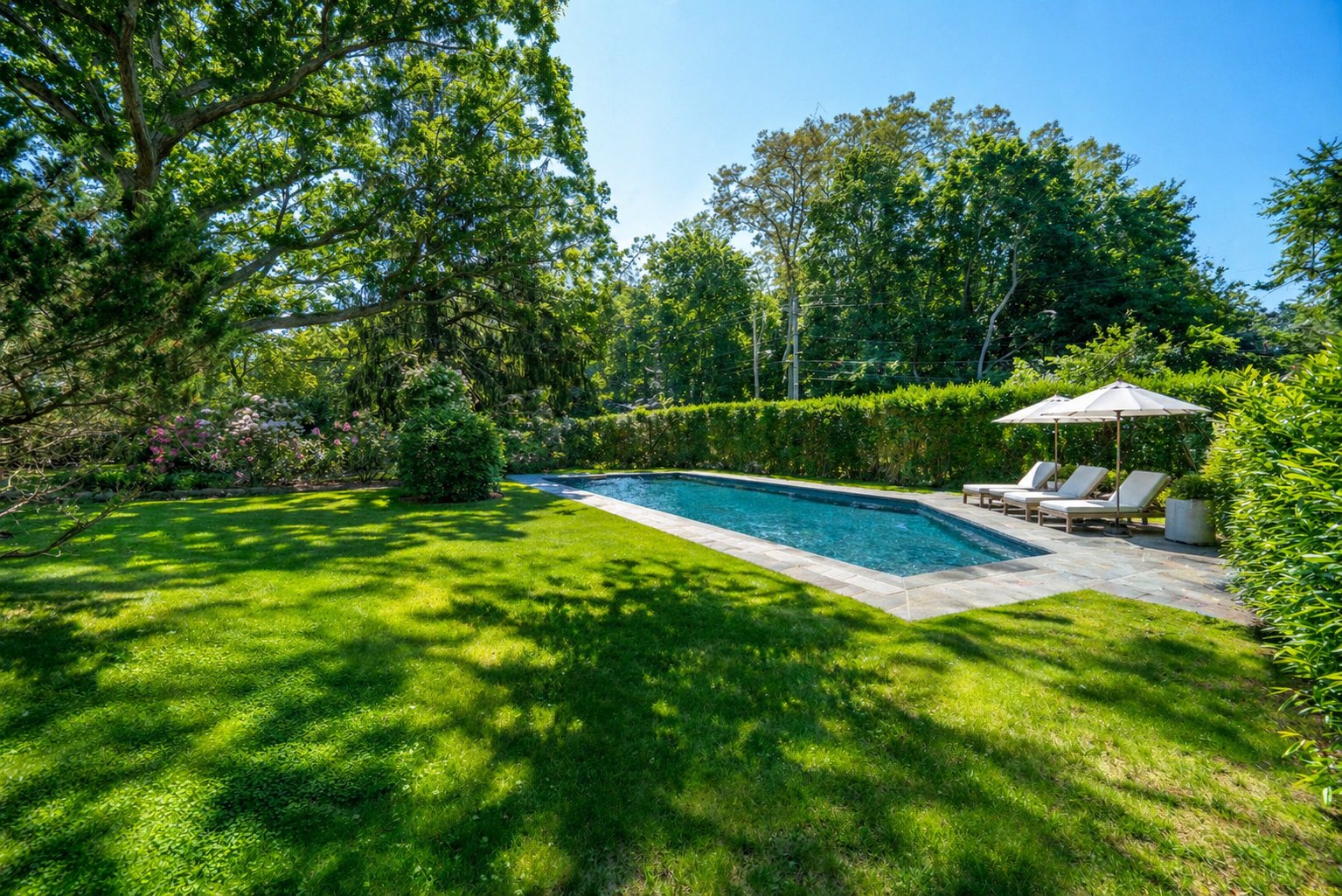 The half-acre garden, reimagined with a pool